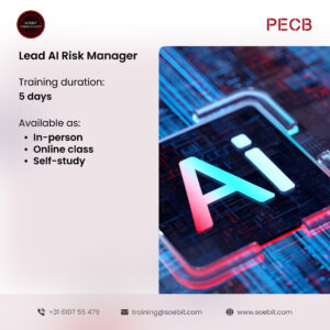 Lead AI Risk Manager