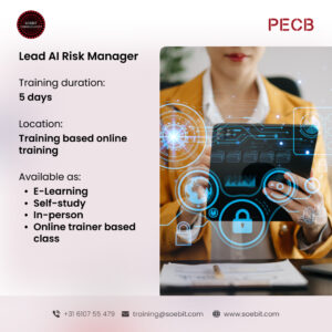 Lead AI Risk Manager